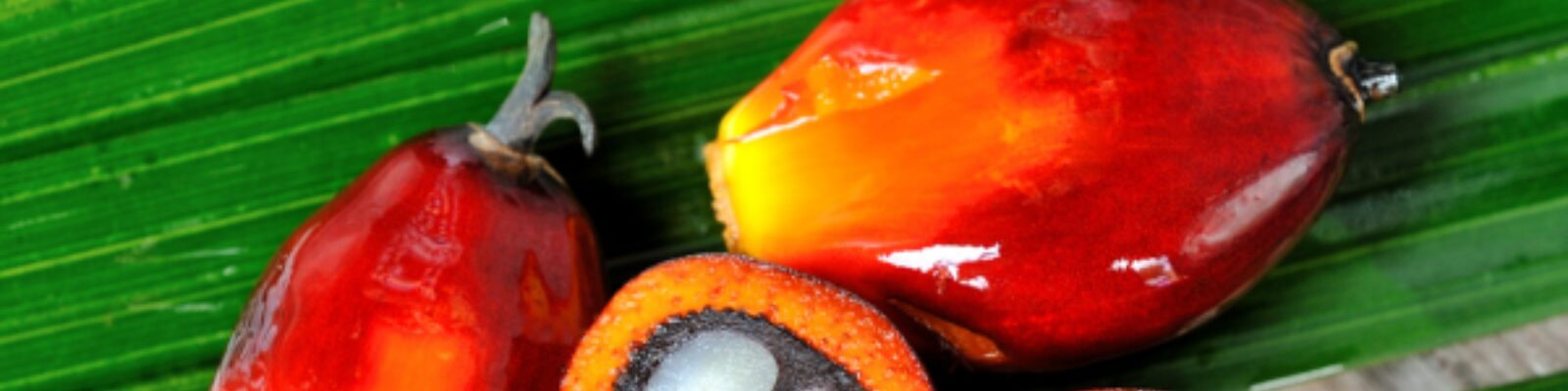 Website headers